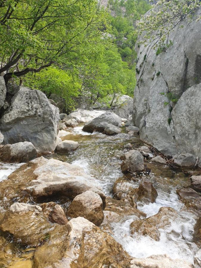 Vito Starigrad Paklenica Exterior foto